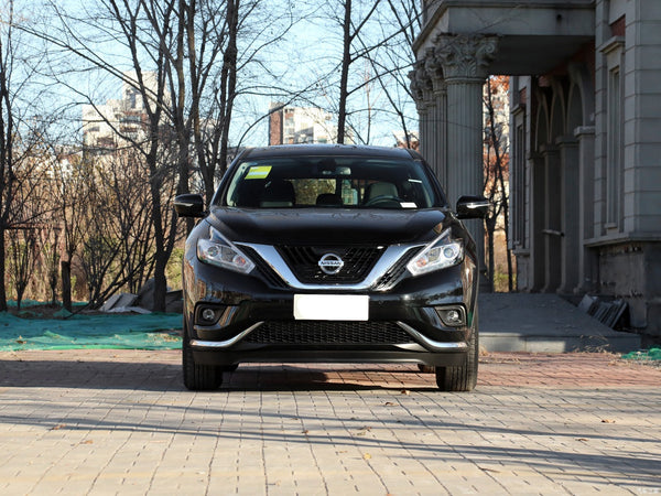 Nissan Loulan 2021 2.5L XL two-drive Zhilian luxury edition