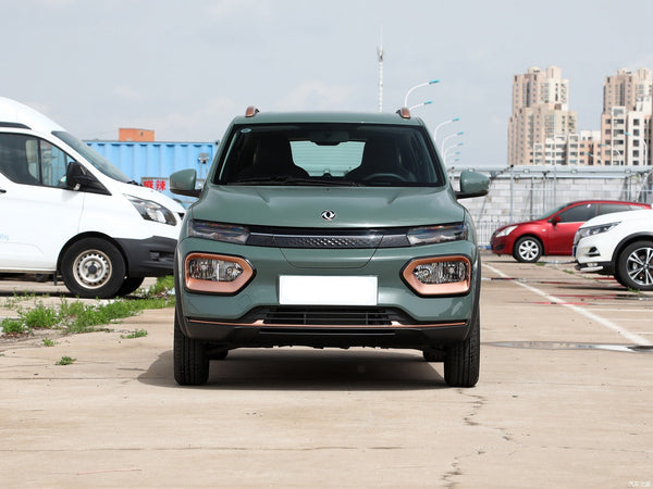 Dongfeng Nanobox(Wind version 331KM advanced model)